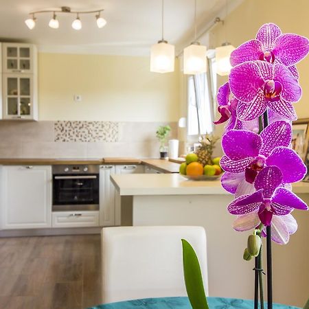 Apartman Maxim Leilighet PUY Eksteriør bilde